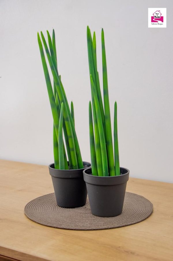 Sansevieria Cylindrica Faux Plant