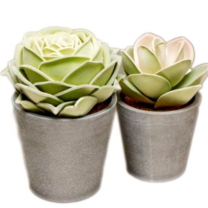 Faux Succulent Houseplant